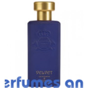Our impression of Velvet Al-Jazeera Perfumes for Unisex Premium Perfume Oil (6176) Lz
